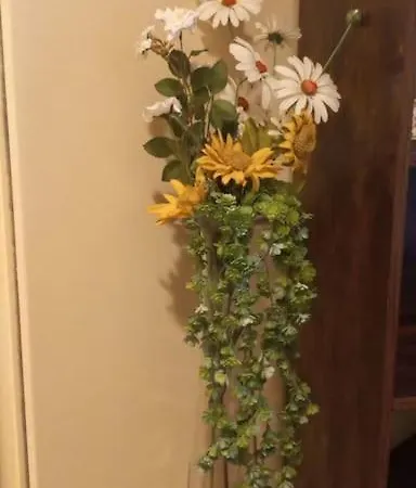 公寓 Daisy In Centro A 科莫